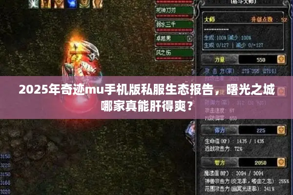 2025年奇迹mu手机版私服生态报告，曙光之城哪家真能肝得爽？