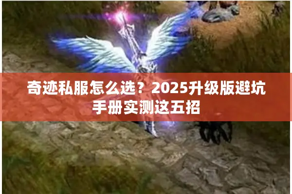 奇迹私服怎么选？2025升级版避坑手册实测这五招