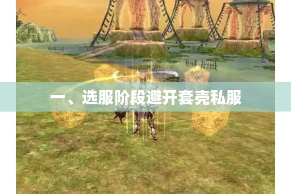 一、选服阶段避开套壳私服