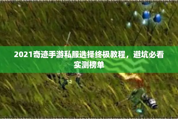 2021奇迹手游私服选择终极教程，避坑必看实测榜单
