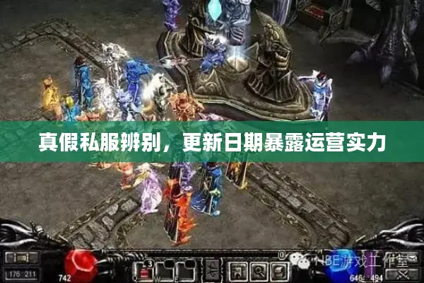 真假私服辨别，更新日期暴露运营实力