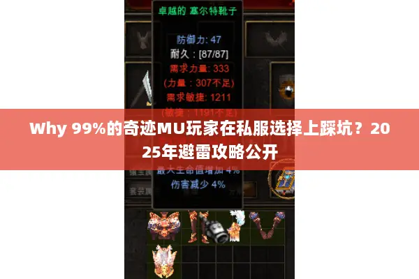 Why 99%的奇迹MU玩家在私服选择上踩坑？2025年避雷攻略公开
