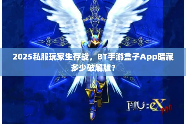 2025私服玩家生存战，BT手游盒子App暗藏多少破解版？