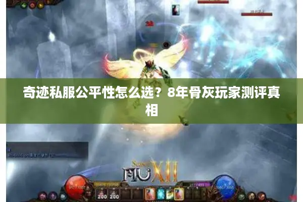 奇迹私服公平性怎么选？8年骨灰玩家测评真相