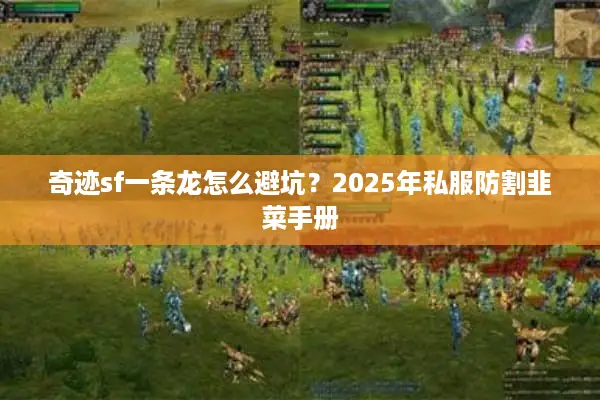 奇迹sf一条龙怎么避坑？2025年私服防割韭菜手册
