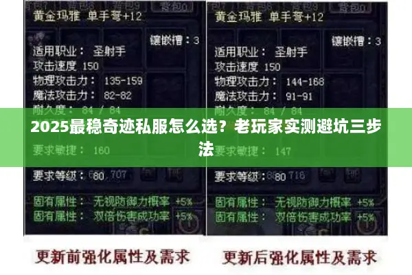 2025最稳奇迹私服怎么选?老玩家实测避坑三步法 2025最稳奇迹私服怎么选?老玩家实测避坑三步法