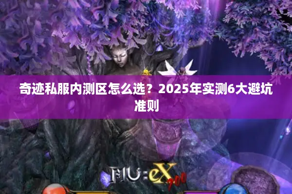 奇迹私服内测区怎么选？2025年实测6大避坑准则