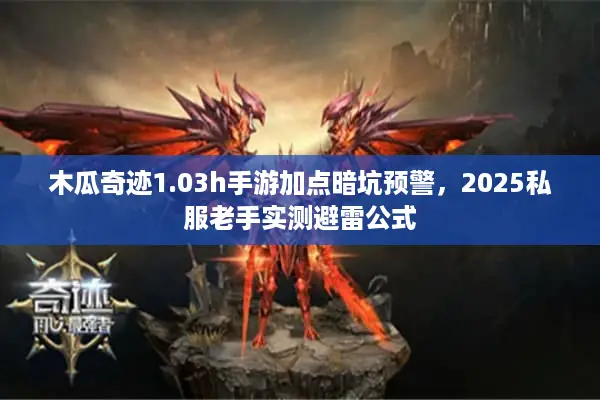 木瓜奇迹1.03h手游加点暗坑预警，2025私服老手实测避雷公式