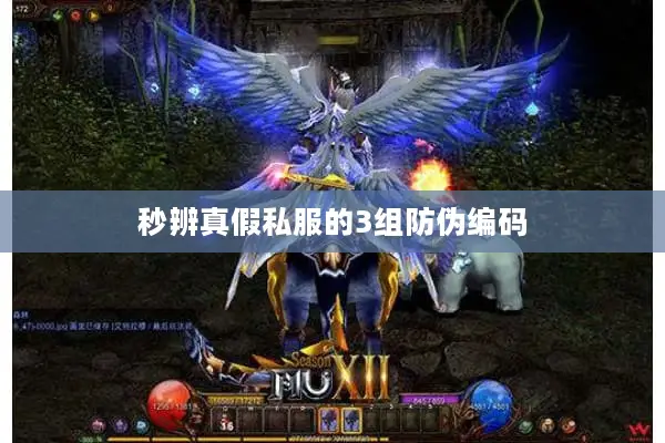 秒辨真假私服的3组防伪编码