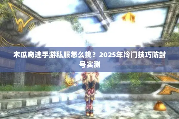 木瓜奇迹手游私服怎么挑？2025年冷门技巧防封号实测