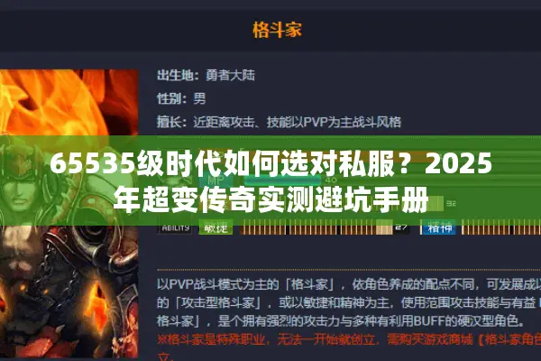 65535级时代如何选对私服？2025年超变传奇实测避坑手册