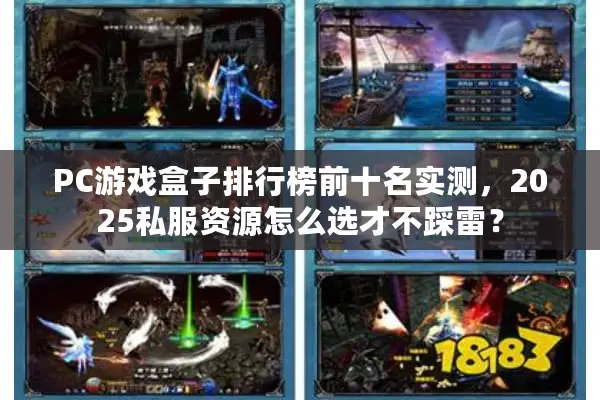 PC游戏盒子排行榜前十名实测，2025私服资源怎么选才不踩雷？