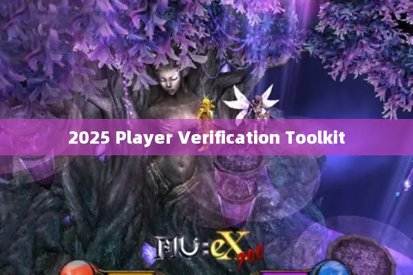 2025 Player Verification Toolkit