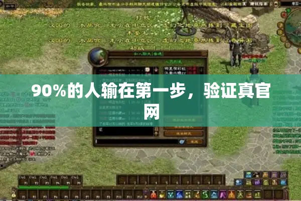 90%的人输在第一步，验证真官网