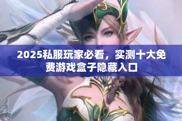 2025私服玩家必看，实测十大免费游戏盒子隐藏入口