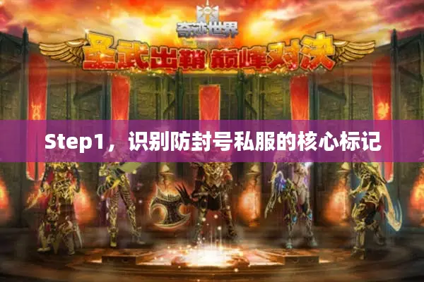 Step1，识别防封号私服的核心标记