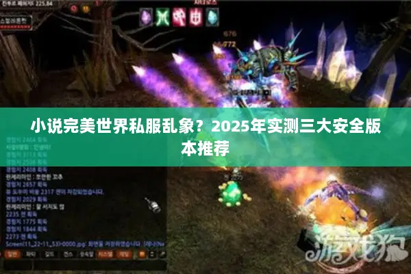 小说完美世界私服乱象？2025年实测三大安全版本推荐