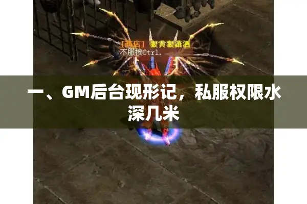 一、GM后台现形记,私服权限水深几米 一、GM后台现形记,私服权限水深几米