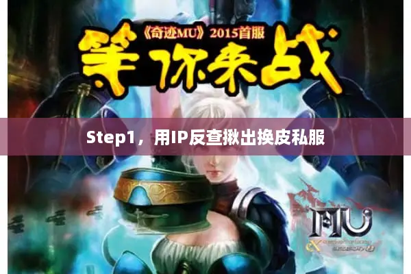 Step1，用IP反查揪出换皮私服