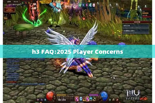 h3 FAQ:2025 Player Concerns