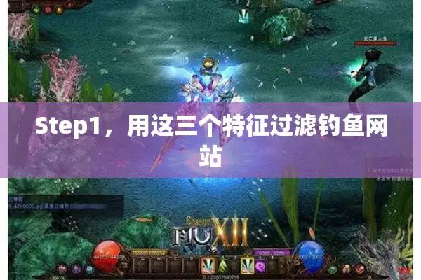 Step1，用这三个特征过滤钓鱼网站