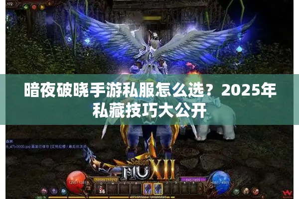 暗夜破晓手游私服怎么选？2025年私藏技巧大公开