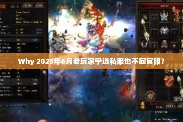 Why 2025年6月老玩家宁选私服也不回官服？