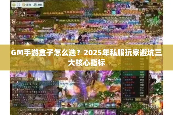 GM手游盒子怎么选？2025年私服玩家避坑三大核心指标