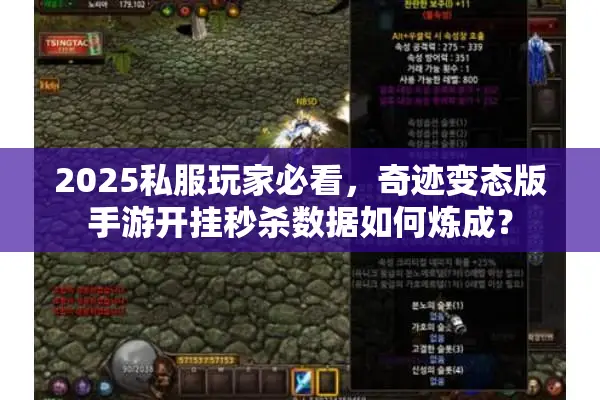2025私服玩家必看，奇迹变态版手游开挂秒杀数据如何炼成？
