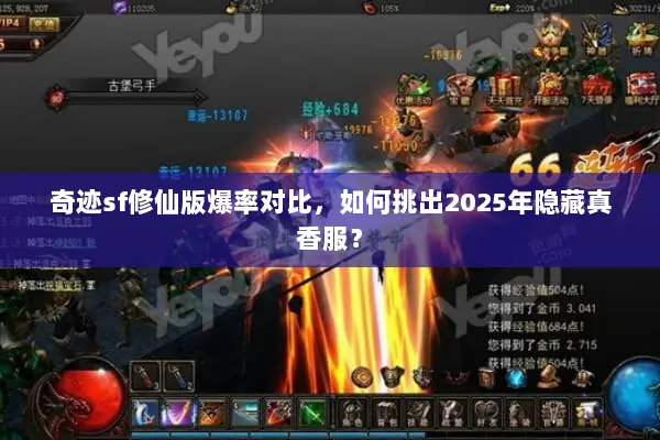 奇迹sf修仙版爆率对比，如何挑出2025年隐藏真香服？