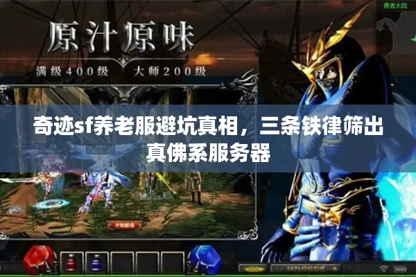 奇迹sf养老服避坑真相，三条铁律筛出真佛系服务器