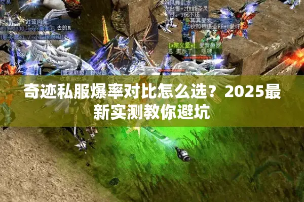 奇迹私服爆率对比怎么选？2025最新实测教你避坑