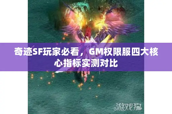 奇迹SF玩家必看，GM权限服四大核心指标实测对比