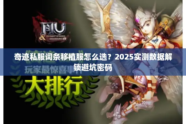 奇迹私服词条移植服怎么选？2025实测数据解锁避坑密码