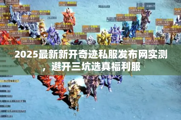2025最新新开奇迹私服发布网实测，避开三坑选真福利服