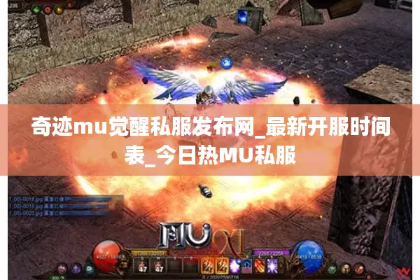 奇迹mu觉醒私服发布网_最新开服时间表_今日热MU私服