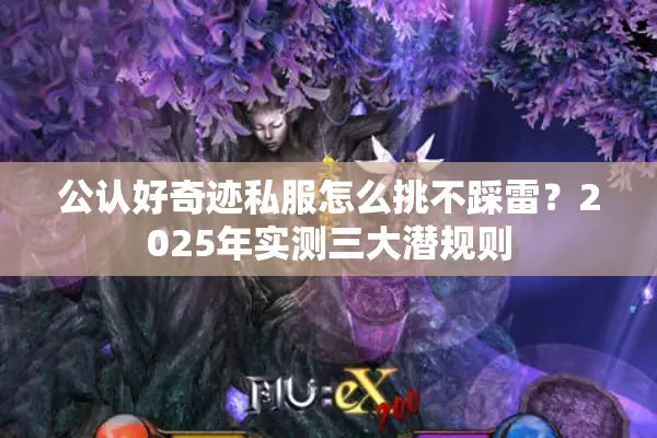 公认好奇迹私服怎么挑不踩雷？2025年实测三大潜规则