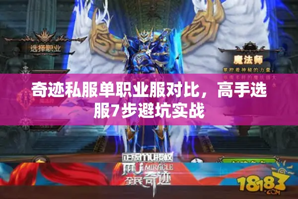奇迹私服单职业服对比，高手选服7步避坑实战