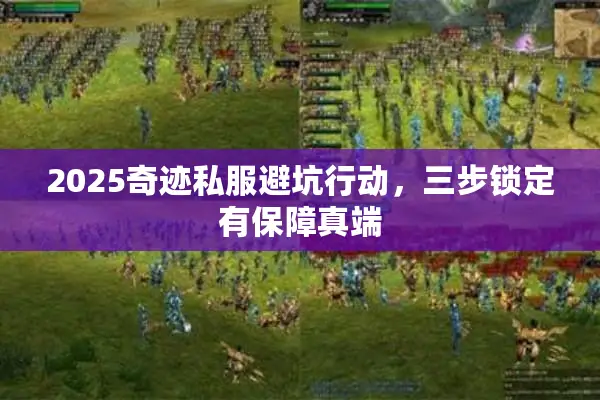 2025奇迹私服避坑行动，三步锁定有保障真端