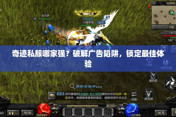 奇迹私服哪家强？破解广告陷阱，锁定最佳体验