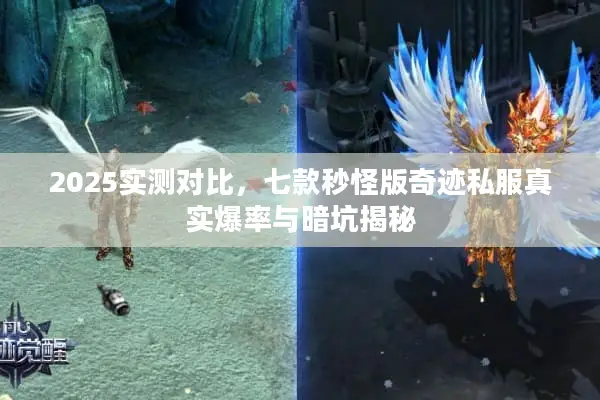 2025实测对比，七款秒怪版奇迹私服真实爆率与暗坑揭秘