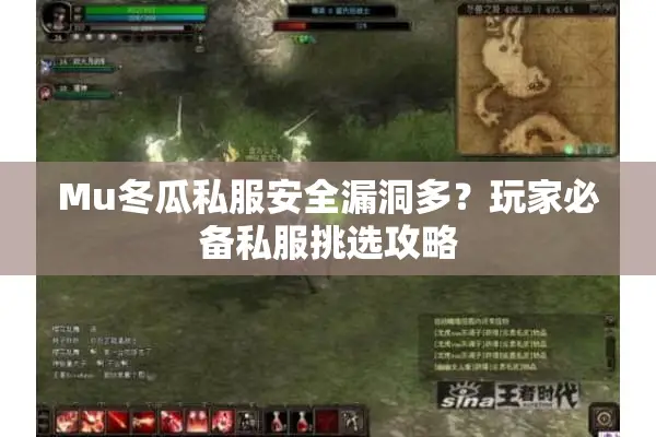 Mu冬瓜私服安全漏洞多？玩家必备私服挑选攻略