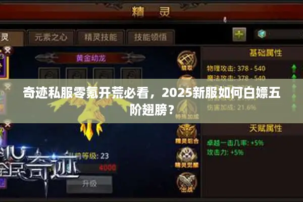 奇迹私服零氪开荒必看，2025新服如何白嫖五阶翅膀？