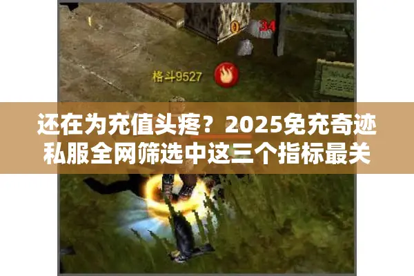还在为充值头疼？2025免充奇迹私服全网筛选中这三个指标最关键