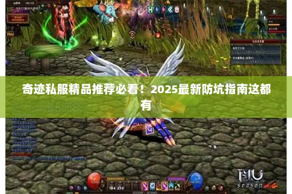 奇迹私服精品推荐必看！2025最新防坑指南这都有