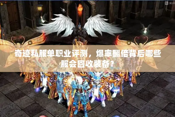奇迹私服单职业评测，爆率翻倍背后哪些服会回收装备？