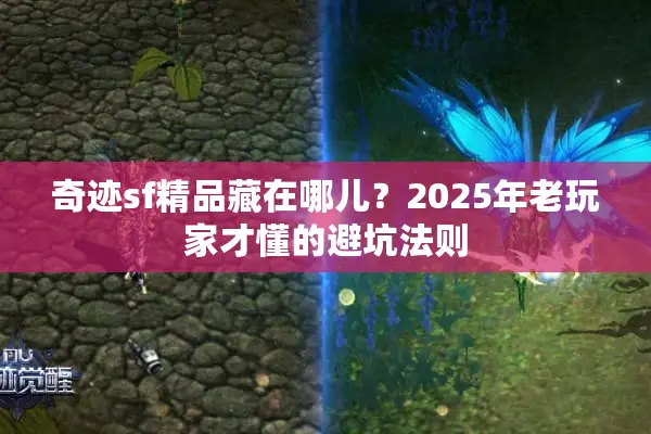 奇迹sf精品藏在哪儿？2025年老玩家才懂的避坑法则