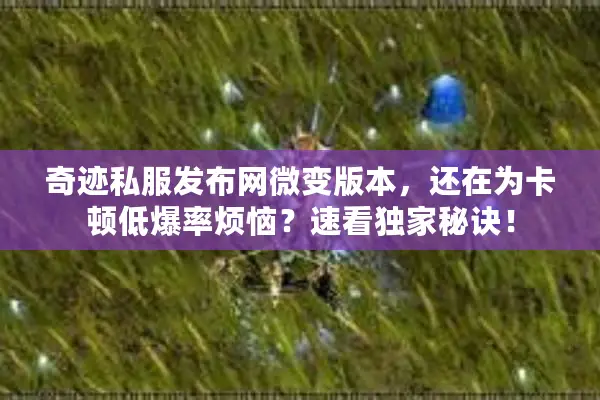 奇迹私服发布网微变版本，还在为卡顿低爆率烦恼？速看独家秘诀！