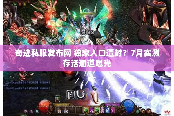 奇迹私服发布网 独家入口遭封？7月实测存活通道曝光