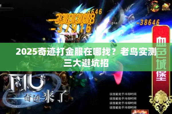2025奇迹打金服在哪找？老鸟实测三大避坑招